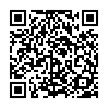 QR code for 29XN49