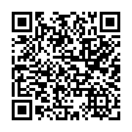 QR code for 29Y 397