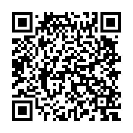 QR code for 29Y 441
