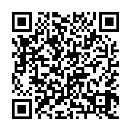 QR code for 29Y P49