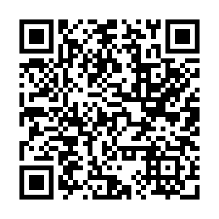QR code for 29Y383