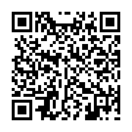 QR code for 29Y690
