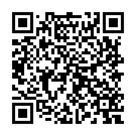 QR code for plate 29Y 956