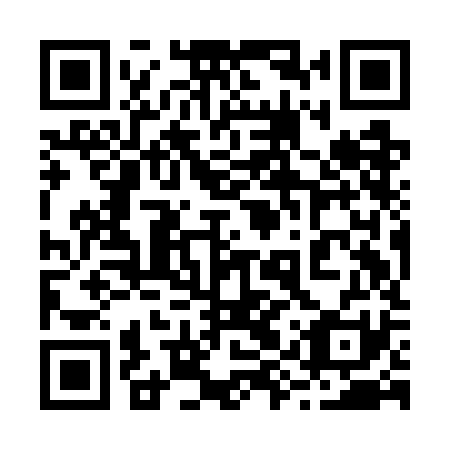 QR code for plate 29Y GK1