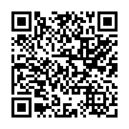 QR code for 29Z 241