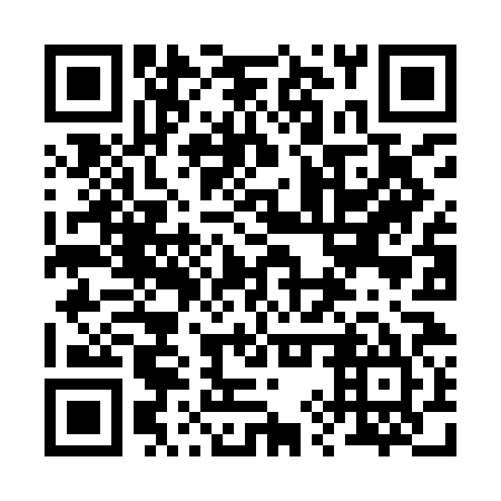 QR code for 29Z IN5