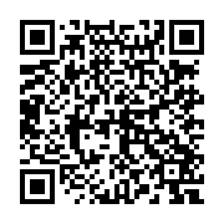QR code for 29Z LD3