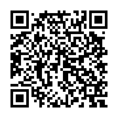 QR code for 29Z013