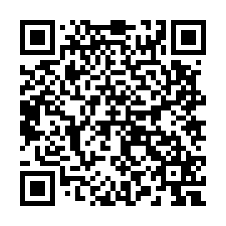 QR code for 29Z525