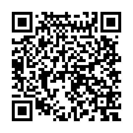 QR code for plate 29Z 568
