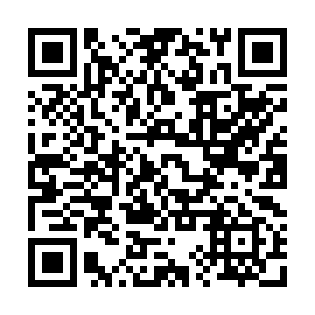 QR code for plate 29Z B99