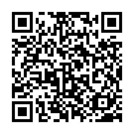 QR code for 29ZZR1