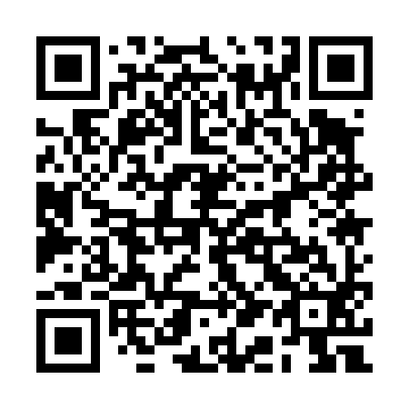 QR code for plate 2A1 492