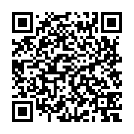 QR code for plate 2A7 938
