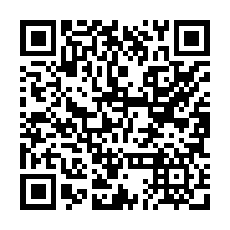 QR code for plate 2AO H87