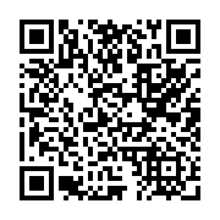 QR code for plate 2B1 019