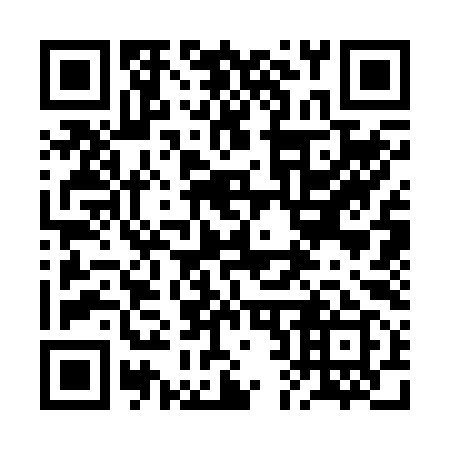 QR code for plate 2B3 299