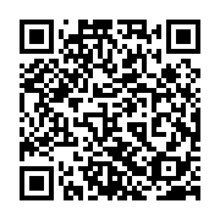 QR code for plate 2BP A38