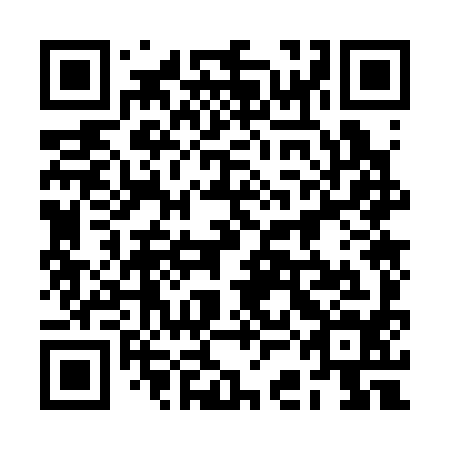 QR code for 2CO394