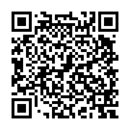QR code for plate 2CO 499
