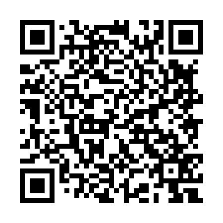 QR code for plate 2CX 877