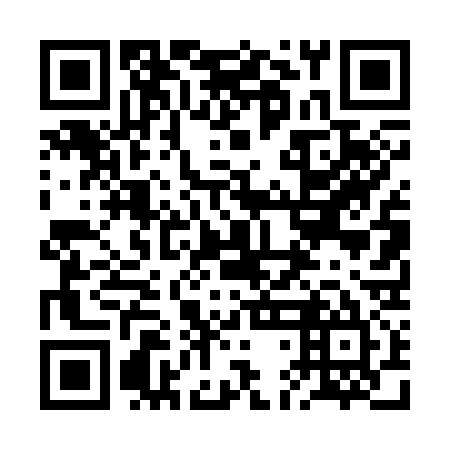 QR code for plate 2DD 335