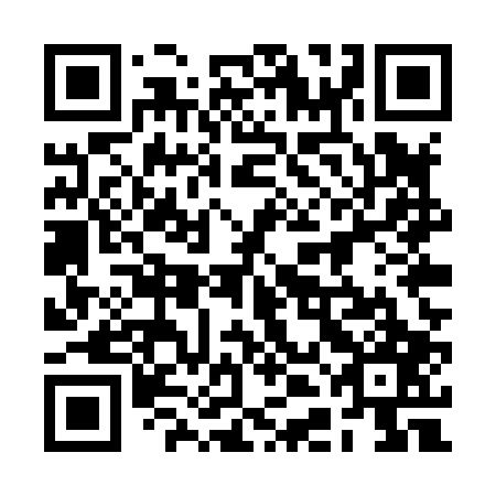 QR code for plate 2DE X07