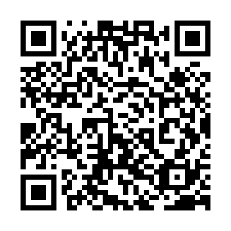 QR code for 2DG X30