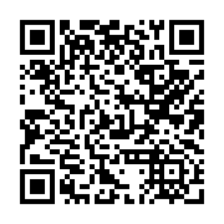 QR code for 2DH 493
