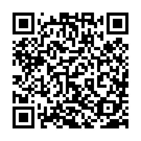 QR code for plate 2DH 489