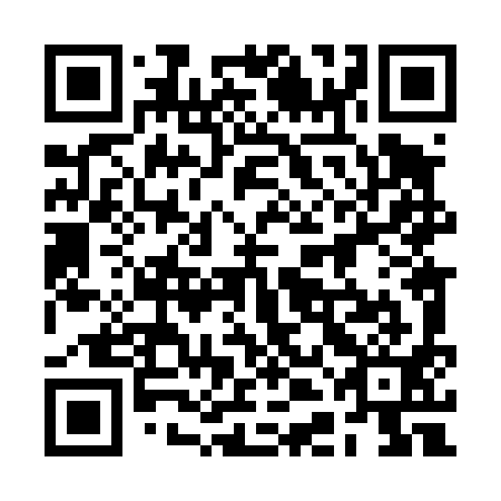 QR code for 2DL491