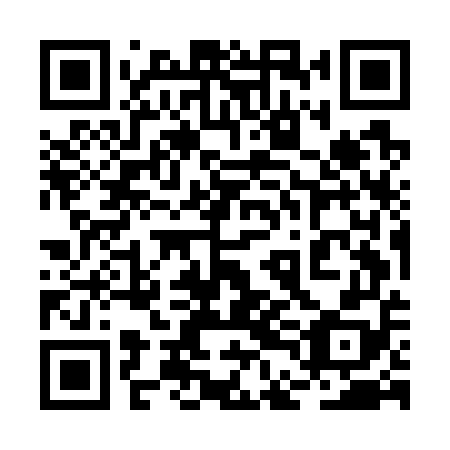 QR code for 2DMG58