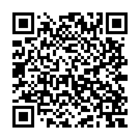 QR code for plate 2DM U46