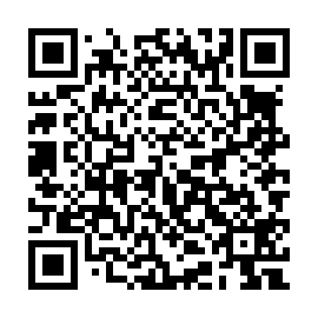 QR code for plate 2DN L19