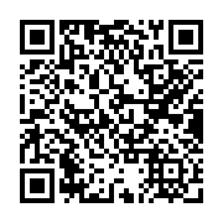 QR code for 2DQ S31