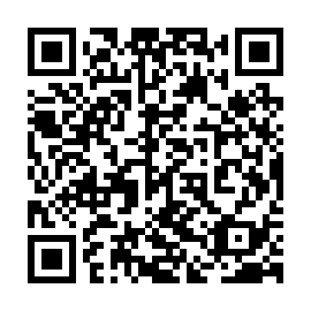 QR code for plate 2DU R39