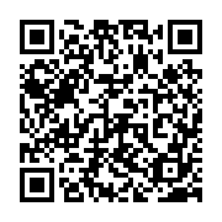 QR code for plate 2DV 272