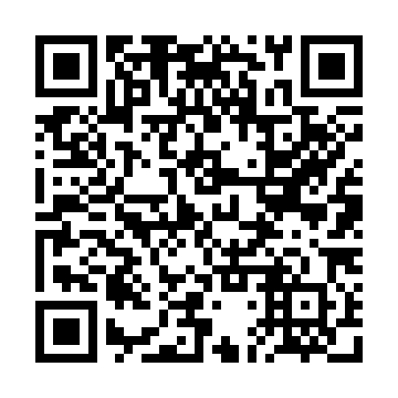 QR code for plate 2DV 380