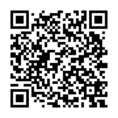 QR code for 2DX V28
