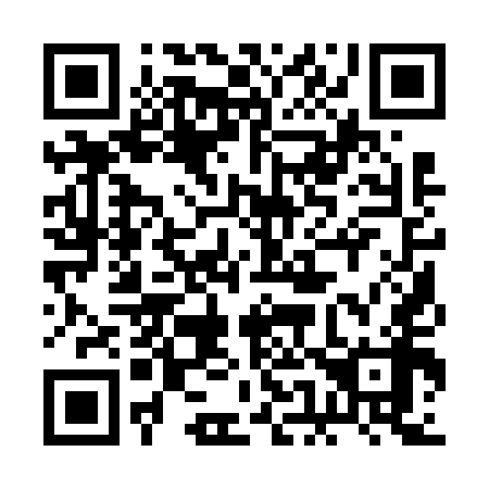 QR code for plate 2E1 658