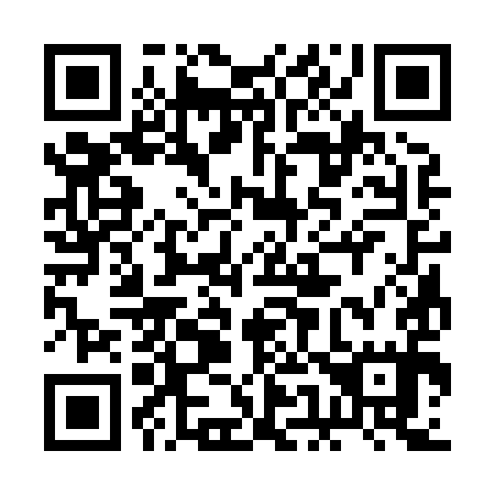 QR code for plate 2E3 895