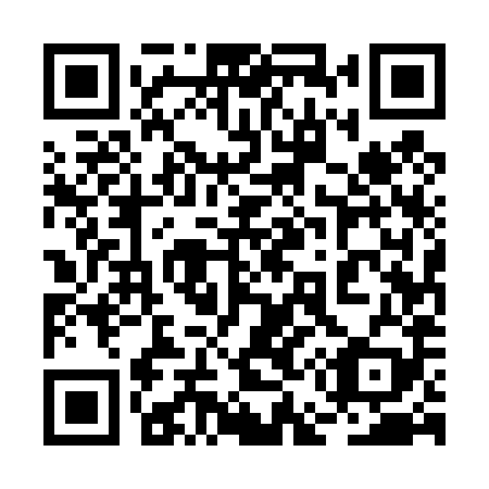 QR code for plate 2E5 489