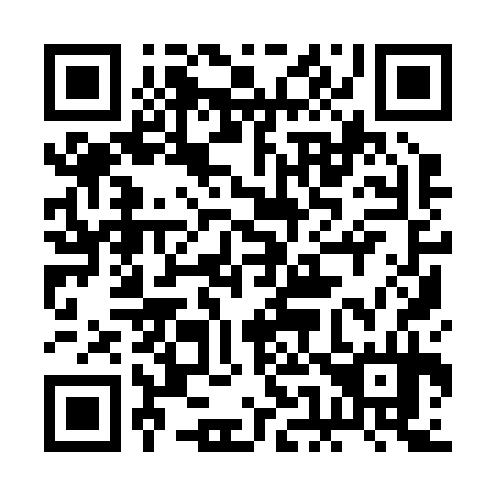 QR code for plate 2E9 234