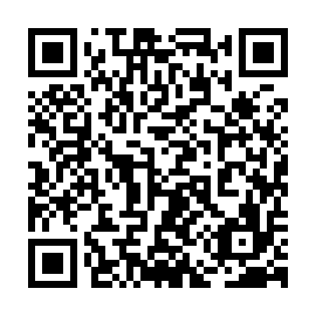 QR code for plate 2E9 916