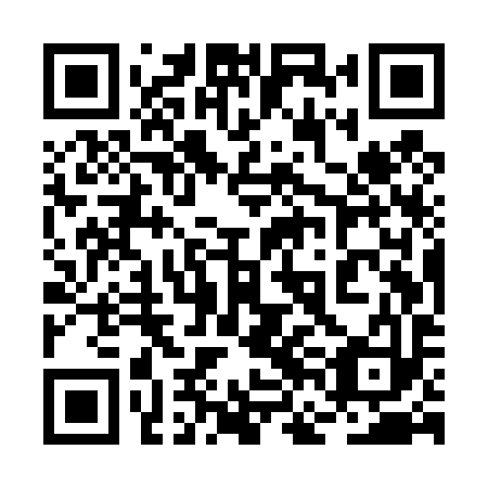 QR code for plate 2FE T93