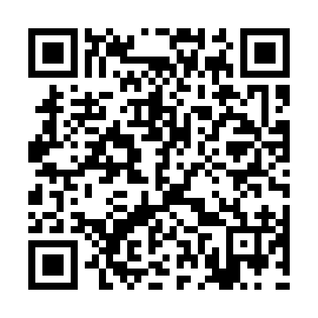 QR code for 2FZ Q96