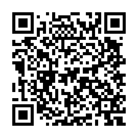 QR code for 2FZ413