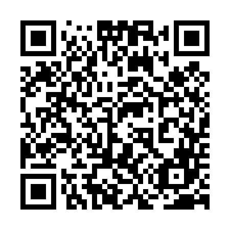 QR code for plate 2G3 446