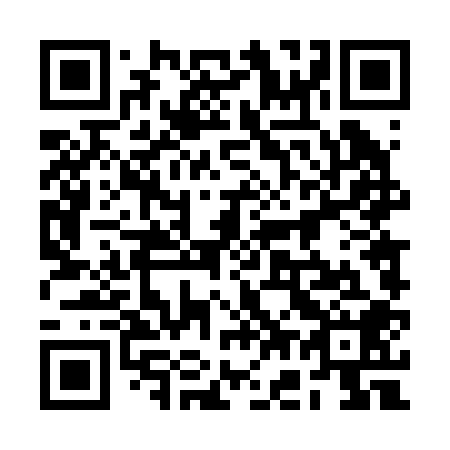 QR code for plate 2G4 208