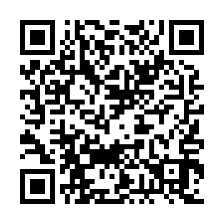 QR code for plate 2G4 813